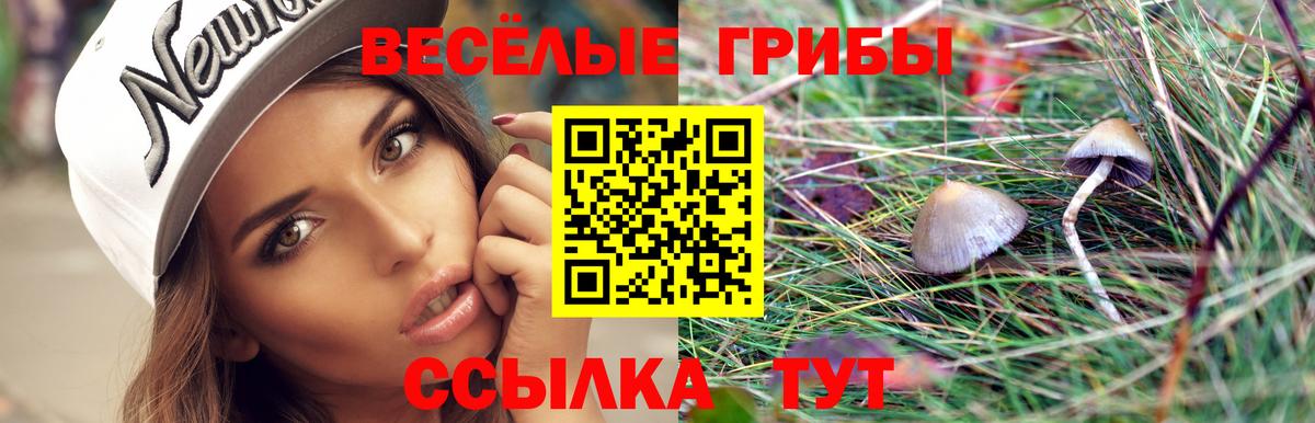 Новокуйбышевск  Галлюциногенные грибы ЛСД  Вход с VPN 