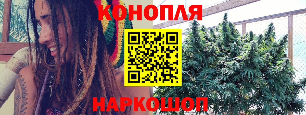 Бошки Шишки White Widow  Вход с VPN  Шишки марихуана Ganja  Шишки марихуана план  Каннабис план  Новокуйбышевск 
